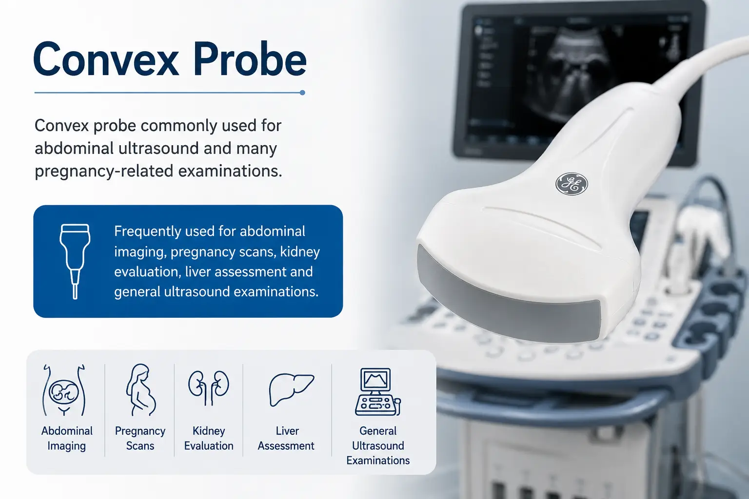 Convex Ultrasound Probe