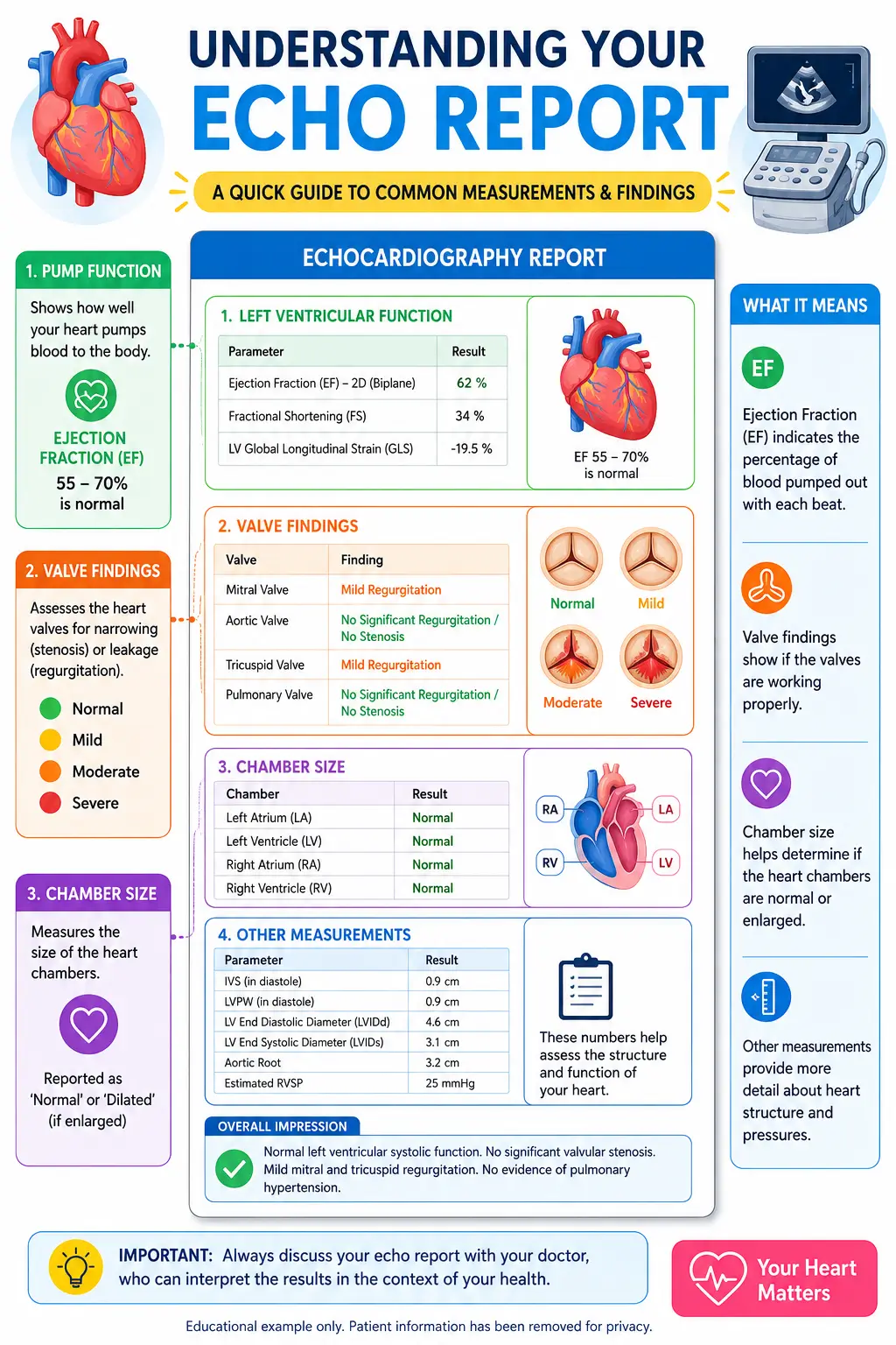 Sample Echocardiography report showing ejection fraction, valve findings and cardiac measurements